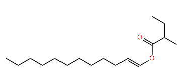 Dodecenyl 2-methylbutyrate